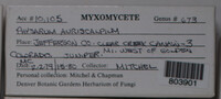 Image Associated With the Occurence